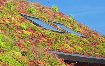 South Muskham living roof systems
