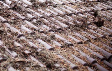 South Muskham roof cleaning companies